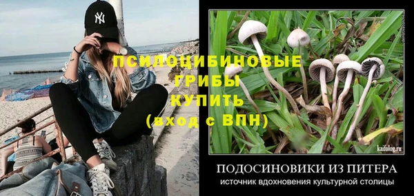 трава Нязепетровск